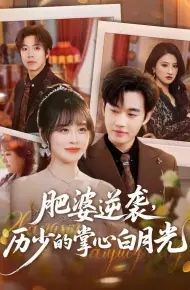 肥婆逆袭，历少的掌心白月光