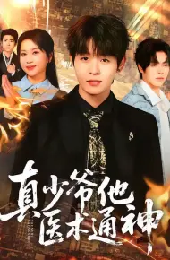 真少爷他医术通神