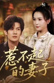 惹不起的妻子
