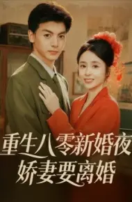 重生八零新婚夜，娇妻要离婚