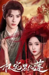 权宠黑心莲