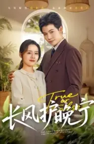 长风护晚宁