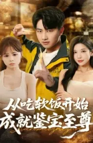 从吃软饭开始成就鉴宝至尊