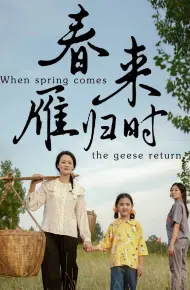 春来雁归时