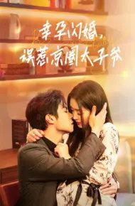 幸孕闪婚,误惹京圈太子爷