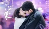 归舟吻海棠