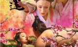 喜气洋洋小金莲