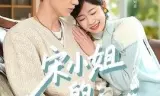 宋小姐的甜婚日记