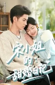 宋小姐的甜婚日记