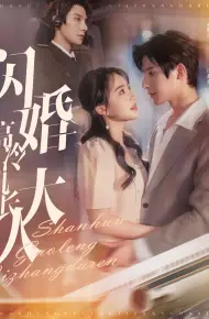 闪婚高冷机长大人（机长先生听我指挥）