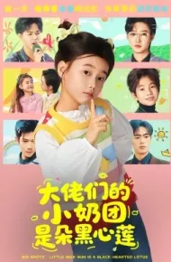 大佬们的小奶团是朵黑心莲