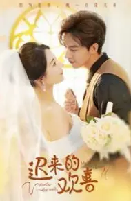迟来的欢喜
