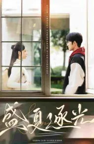 盛夏逐光