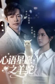 心语星愿之羊驼