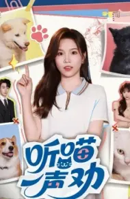 听喵一声劝