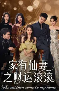 家有仙妻之财运滚滚