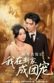 随母改嫁后,我在新家成团宠