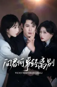 问君何事轻离别