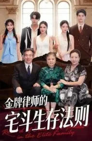 金牌律师的宅斗生存法则