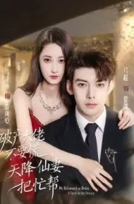 破产大佬不要慌，天降仙妻把忙帮