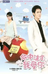命中注定我爱你2008