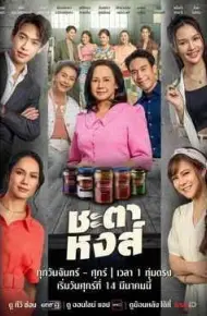 凤凰的命运