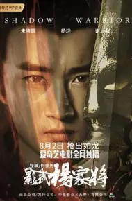 影武杨家将