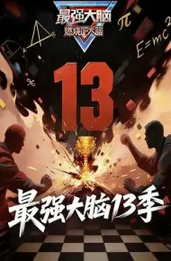 最强大脑第13季