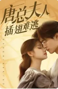 唐总夫人插翅难逃