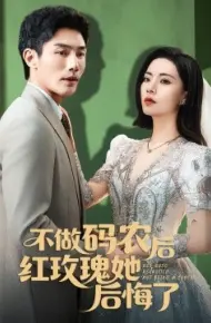 不做码农后红玫瑰她后悔了