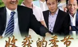 收获的季节