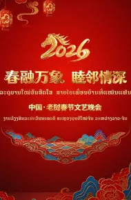 春融万象睦邻情深2026中国老挝春