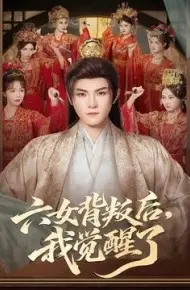 六女背叛后，我觉醒了
