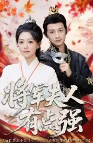 将军夫人有点强