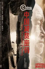 中国减贫密码