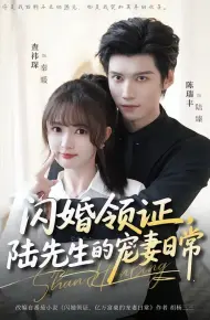 闪婚领证,陆先生的宠妻日常