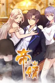 帝婿