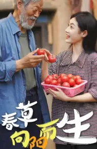 春草向阳而生