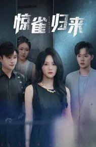 惊雀归来