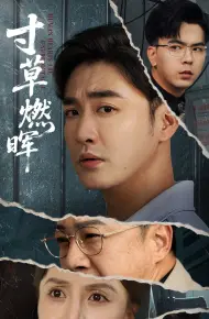 寸草燃晖