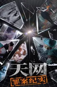 天网:罪案纪实