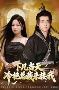 下凡当天，冷艳总裁来接我