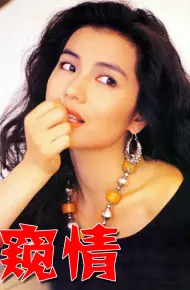 窥情