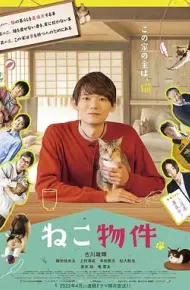 猫物件
