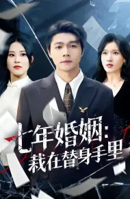 七年婚姻:栽在替身手里