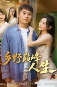 乡野巅峰人生