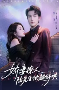 娇妻撩人，陆先生他超好哄