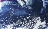 海德尔