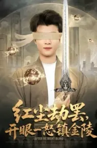 红尘劫罢,开眼一怒镇金陵