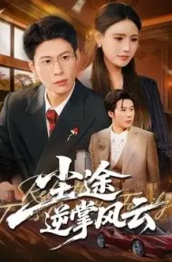 尘途逆掌风云